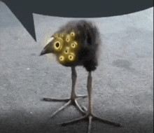 Big Bird Project Moon GIF