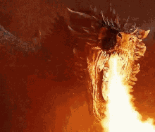 fire dragon dragon firing fire blow fire