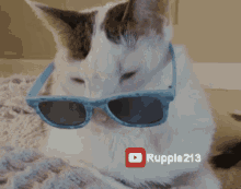 Annoyed Cool GIF - Annoyed Cool Cat GIFs
