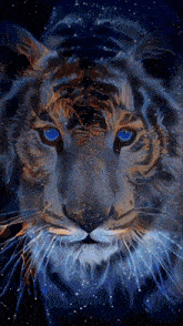 a painting of a tiger 's face with blue eyes