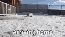 Arriving Home GIF - Arriving Home Seal GIFs
