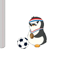 Football Sport Sticker