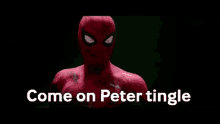 Come On Peter Tingle Spider Man GIF
