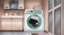im sakamoto sakamoto hide washing machine