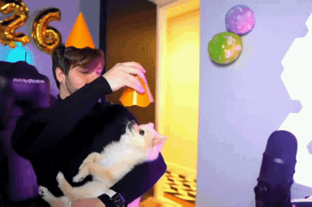 T3ddy Lucasolioti GIF - T3ddy Lucasolioti Lisamarie - Discover & Share GIFs