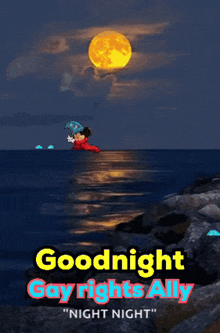 a poster that says " goodnight gay rights ally "