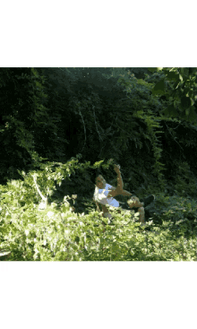 Nature Chill GIF - Nature Chill Relax GIFs