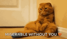 Miserable Depressed GIF - Miserable Depressed Lonely GIFs