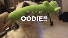 Oodie Dog GIF - Oodie Dog Doggo GIFs