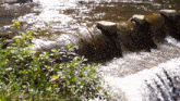 a small waterfall is surrounded by flowers and rocks