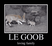 Le Goob Loving Family GIF