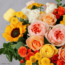 Send Flowers Online Online Flower Delivery GIF - Send Flowers Online Online Flower Delivery GIFs