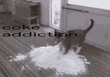Cat Meme Drugs GIF - Cat Meme Cat Drugs GIFs