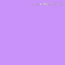 Vibe Purple Whale GIF - Vibe Purple Whale Smile GIFs