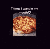 a pizza with the words things i want in my mouth written above it
