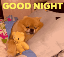 Good Night Dog GIF