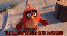 The Whole World Is In Danger GIF - Angry Birds Movie Afraid GIFs