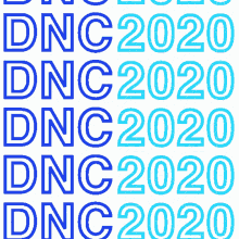 democratic dnc2020