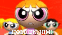 the powerpuff girls are standing next to each other with the words hold on him in the background .