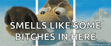 a picture of a squirrel with the words smells like some bitches in here