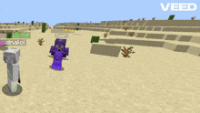 a screenshot of a minecraft game with the name swright