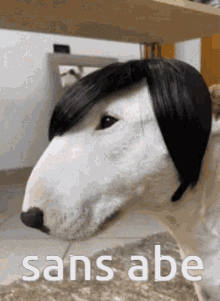 Emo Emo Dog GIF - Emo Emo Dog Sans Abe GIFs