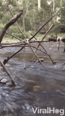 Water Device Spin GIF - Water Device Spin River GIFs