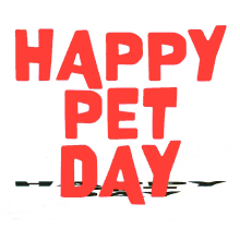 happy pet day i love my pet i love my dog i love my cat national pet day