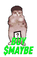 a cat with a question mark on its chest and the words buy $ maybe below it