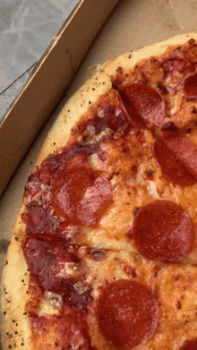 Pizza Pizza Lovers GIF - Pizza Pizza Lovers Pepperoni GIFs