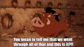 a cartoon of a warthog with the words " you mean to tell me that we went through all of that and this is it "