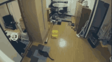 a cat is walking through a cluttered room with a circle with the letter h on it