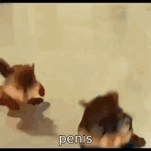 Penis Celedath GIF - Penis Celedath Celedad GIFs