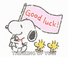 Good Luck Snoopy And Woodstock GIF - Good Luck Snoopy And Woodstock Marching GIFs