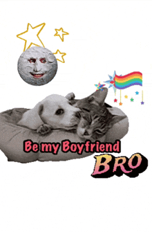 a dog and cat laying on a bed with the words be my boyfriend bro