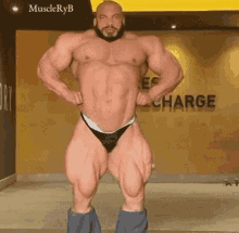 bodybuilder big