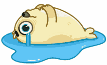 anni seal mr seal crying cry