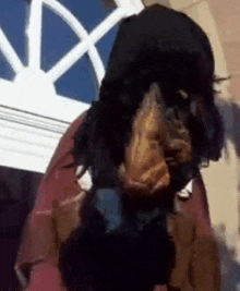 a woman in a wig is standing in front of a window holding a piece of meat in her hand .