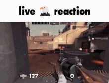 Live Reaction Live Eagle Reaction GIF - Live Reaction Live Eagle Reaction My Honest Reaction GIFs