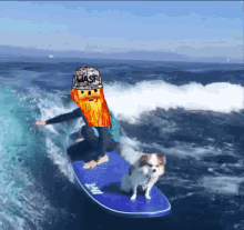 Taproot Wizards Surf GIF - Taproot Wizards Surf GIFs