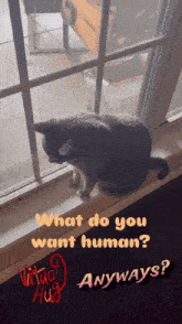 a cat sitting on a window sill with the words " what do you want human anyways "