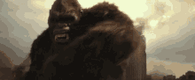 Godzilla King Kong GIF