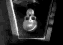 Fishon Skull GIF - Fishon Skull Bones GIFs