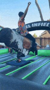 Bull Riding Bull Ride GIF - Bull Riding Bull Bull Ride GIFs