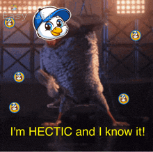 Hectic Turkey Hecticturkey GIF - Hectic Turkey Hecticturkey Hectic GIFs