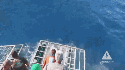Shark Shark Attack GIF - Shark Shark Attack Animal Attack - Discover &  Share GIFs