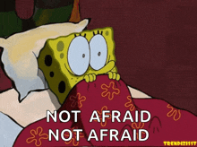 Spongebob Scared GIF