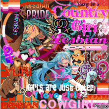 a poster that says ' lesbian pride country girl i love girls '