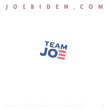 Team Joe Biden2020 GIF - Team Joe Biden2020 GIFs