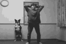 Dog Pilates GIF - Workout Dog Cute GIFs